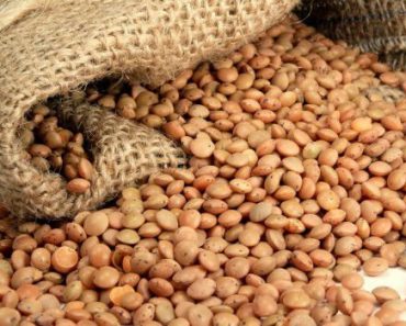 Bloomberg Says Americans Can Eat Lentils Rather Than Meat