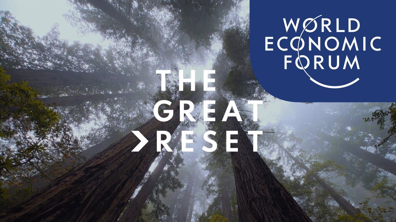 Davos Agenda 2022 | What is the Great Reset?