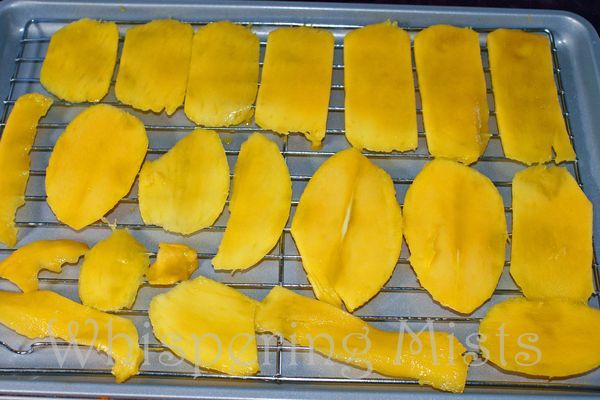 Mango Rehydration Methods – Fast and Easy