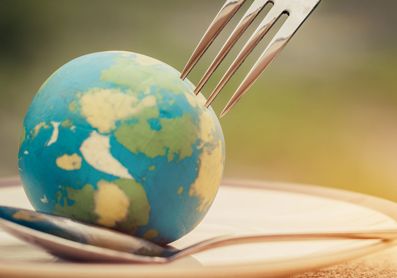 Food is the Source of the Environmental Catastrophe