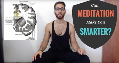 meditation for the brain