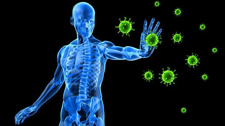 the Immune Systems