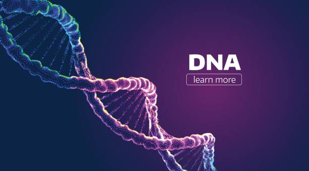 Identifying you Based on DNA