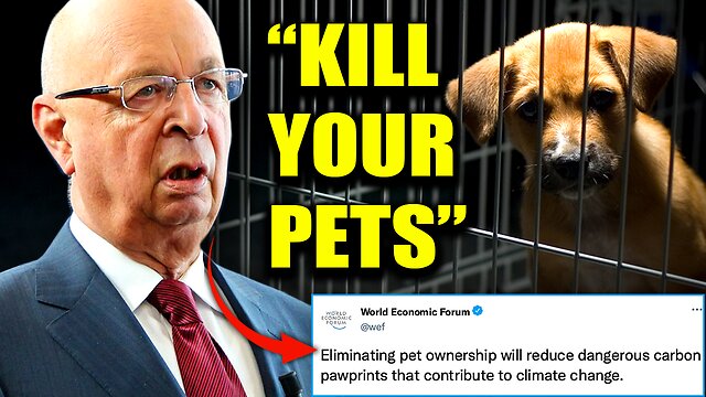 WEF - get rid of your pets NOW