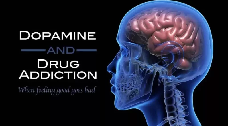 The Impact of Addictive Substances
