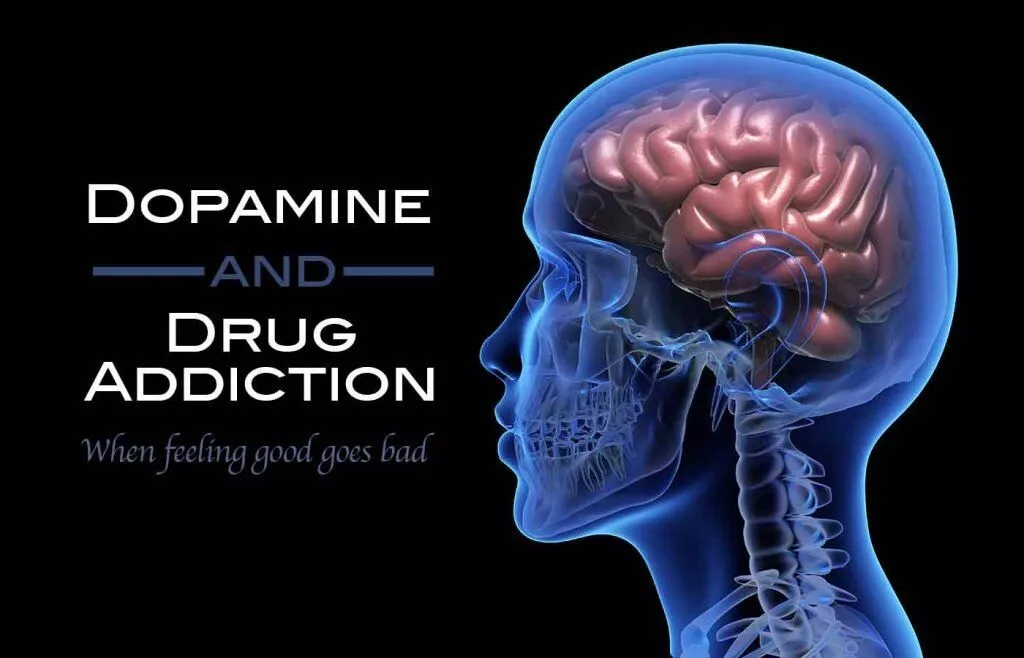The Impact of Addictive Substances