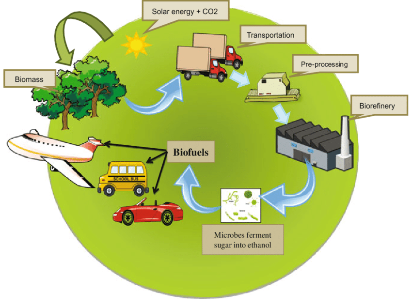 Applications of Biodiesel