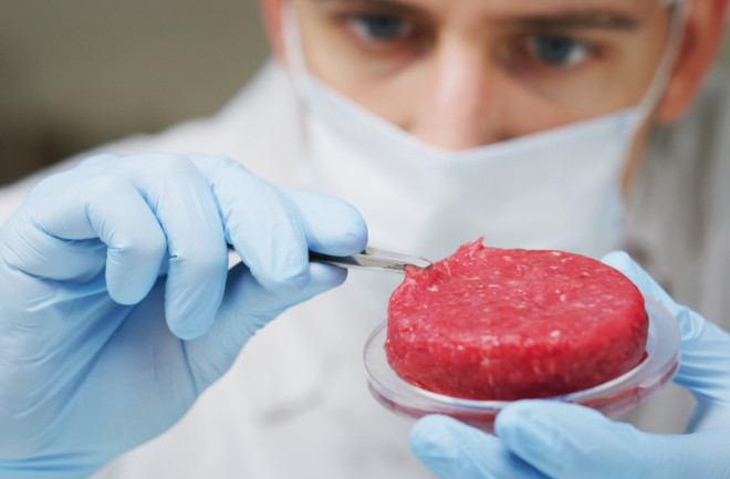 The Dangers of Synthetic Meat: Cancer-Causing Cell Lines and Harmful Ingredients