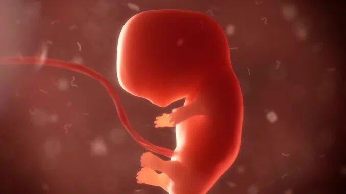 The Future of Human Reproduction: Breakthrough in Lab-Grown Human Embryos Raises Ethical Concerns