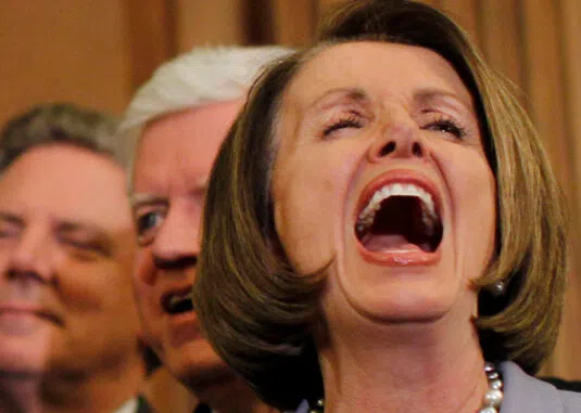 Did Pelosi Spot a Scared Puppy or a Wicked Witch? Unraveling the Verbal Duel