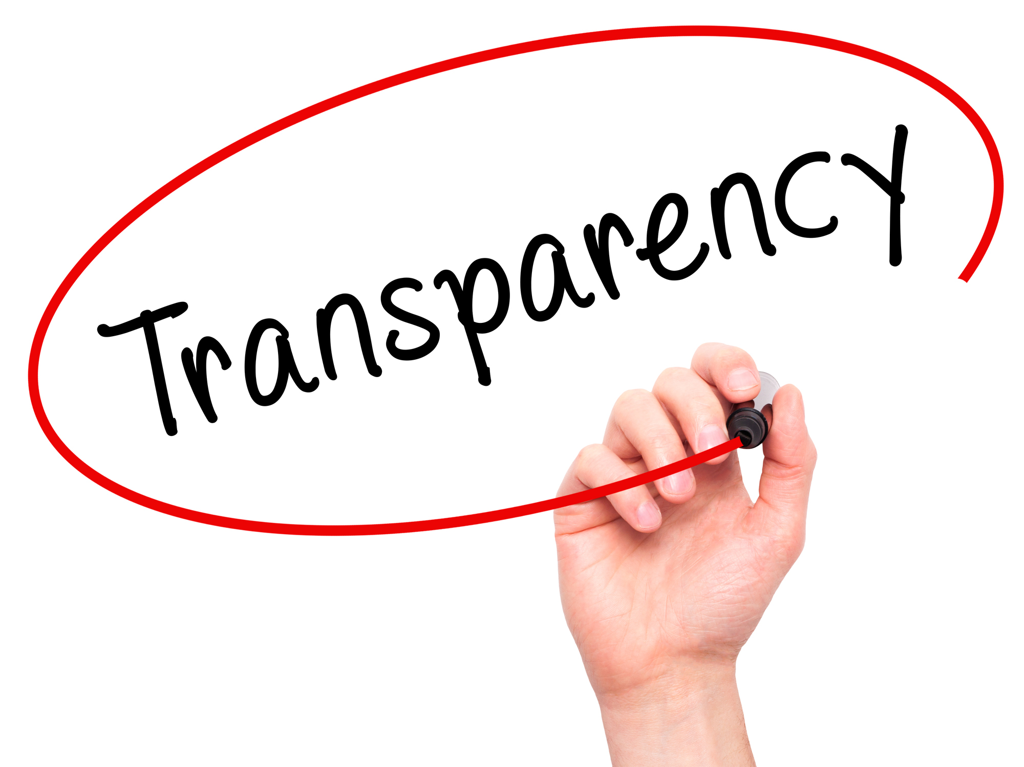 Navigating the Tightrope: Balancing Privacy Rights and Transparency in Fighting Corruption